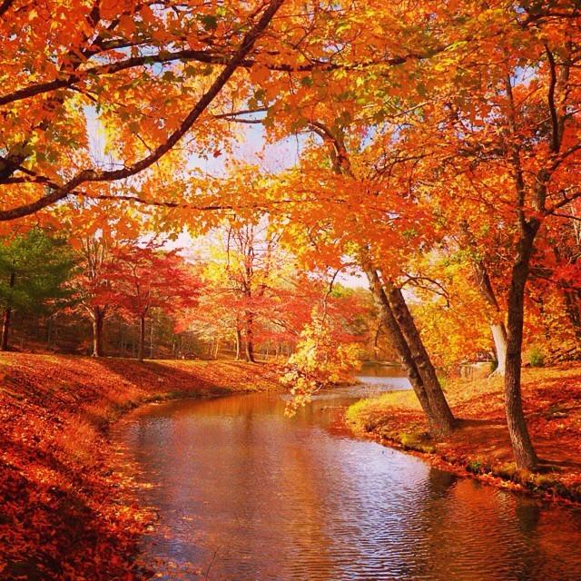 Repost from @georrgepopescu #ohiogram #ohiofall14 - Scioto Trail State Park, #ohio #ohstateparks <a href="/ohstateparks/">Ohio State Parks & Watercraft</a>