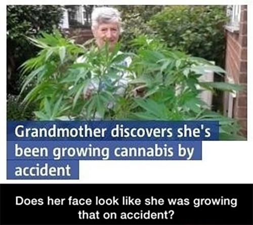 MensHumor's tweet photo. Does this look like the face of an innocent woman? http://t.co/pdTAK4GsXh