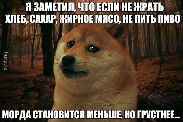 DJ_Malets's tweet photo. Ахахахах))))) http://t.co/ZXcL2wYmtw