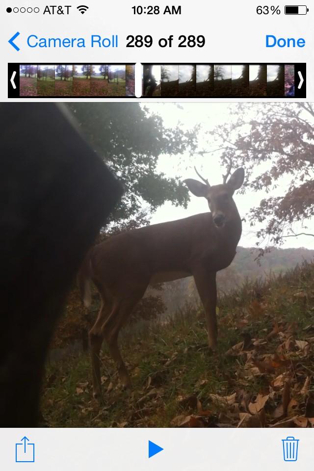 19Isaacsmith's tweet photo. not sure how much closer he could have came http://t.co/3ozaQXGleO