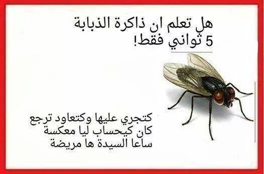 KajoSoha tweet picture