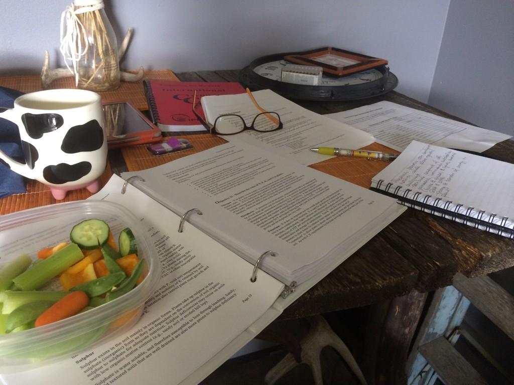 bcphotobybree's tweet image. CCA Study time can&apos;t get more fun! #cca #dirtnerd #agronomy