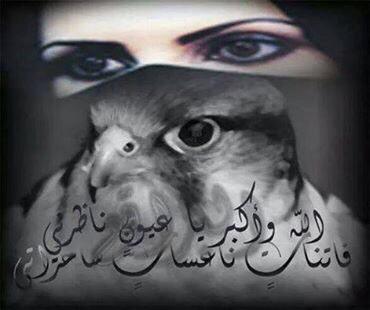 س ـالهاجري On Twitter ماهقيت ان البراقع يفتنني فعلا اذ قالوا جمال البنت بعيونها