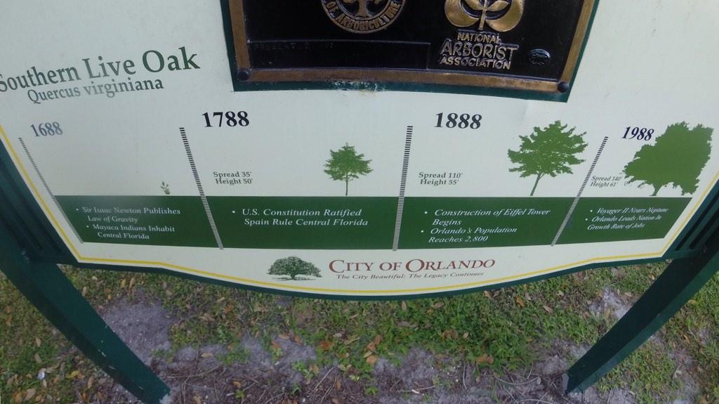Super_Dankness's tweet photo. I also blazed under a tree that was here when the U.S. Constitution was signed 👾💨 http://t.co/GMpGG1ZBrr