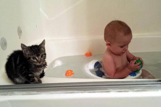 BuzzFeed's tweet photo. 31 Pictures That Will Restore Your Faith In Cats
http://t.co/8yZcOcgeK4 http://t.co/LHyspggsQf