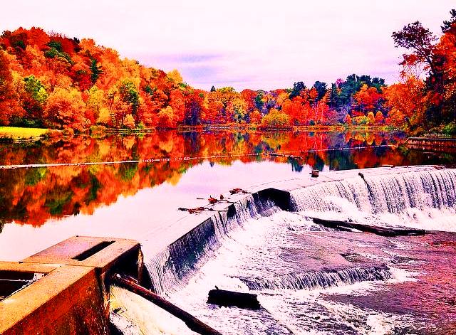 wprbbb's tweet photo. #Cornell #BeebeLake http://t.co/VzizPMi6JC