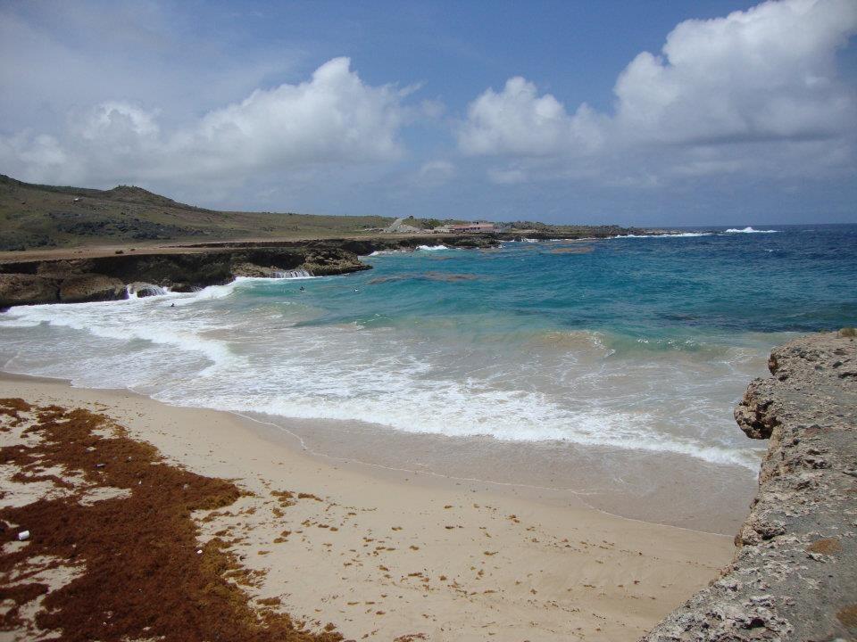 Rugged coastline of Aruba #1happysnap