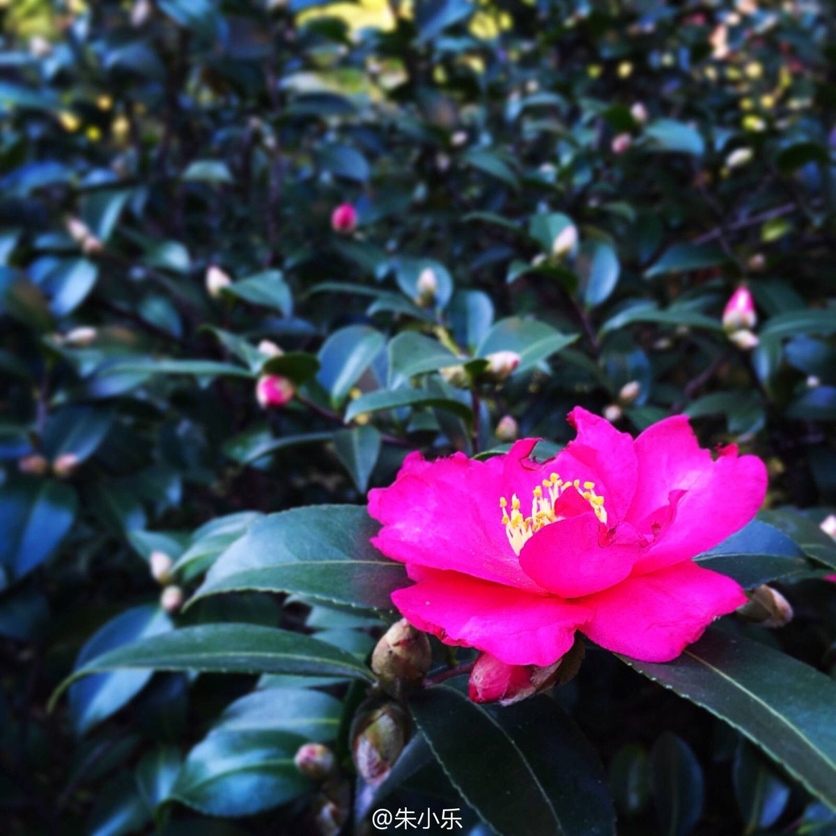 WhomeBulb's tweet photo. Autumn is coming.#Whome# is still seeking for its dream.https://t.co/JbPkoi9aYO http://t.co/R8mWeEOnIB