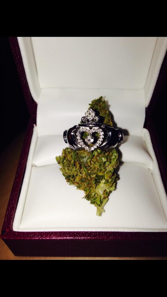 WeedOnlyTweets's tweet photo. β@LifeAsStoner: #HowToGetTheBitches http://t.co/Z90yKnln6uβ
How im going to propose π