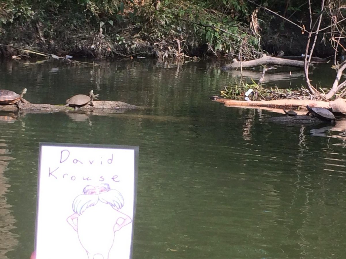Da_Krouse's tweet image. Turtles living near white rock lake, their natural habitat #flatlorax #hphsapes2014 #topic7 #period2