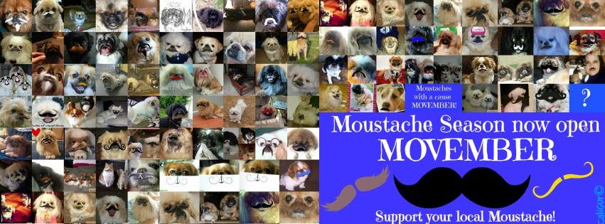 FreddiesFinds's tweet photo. Pwease veeseet me fb page, Freddie Leaf, me company Freddies Finds ees donateeng up to $3000 to @wearethecure http://t.co/CGnvrCSDPd