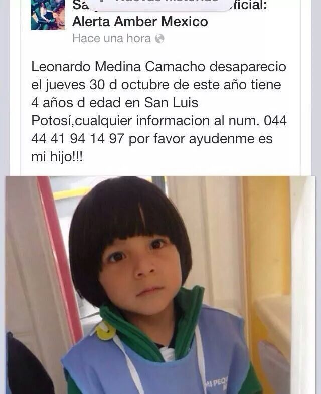 mayte ortiz tweet media