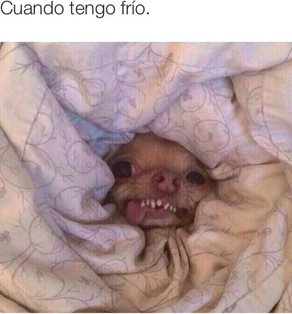DCorcoban's tweet photo. Yo. Ahora mismo. http://t.co/3AtW40kOjn