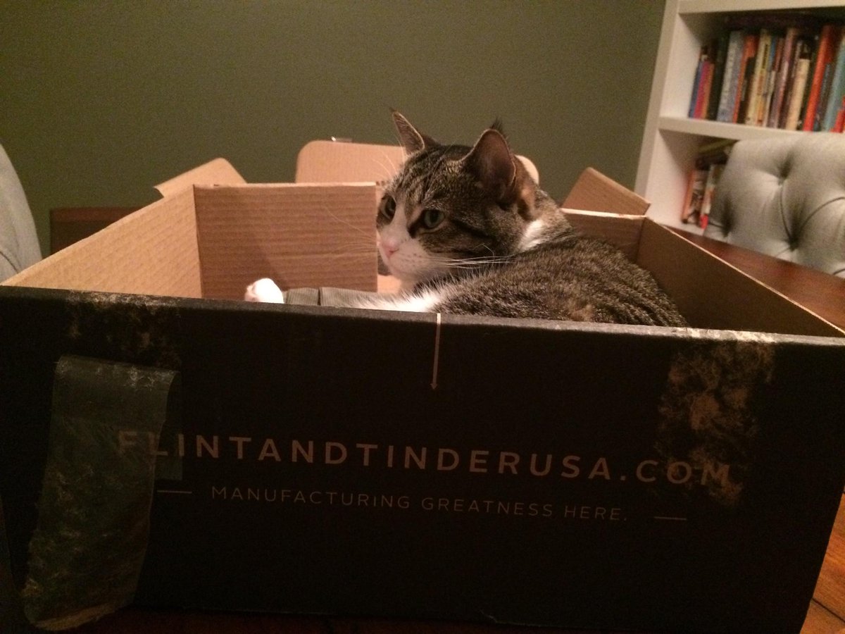 Well, the cat approves of the new pants. <a href="/Flint_TinderUSA/">Flint and Tinder</a>