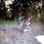 Photo by Advanced Treestands (@advancedstands)