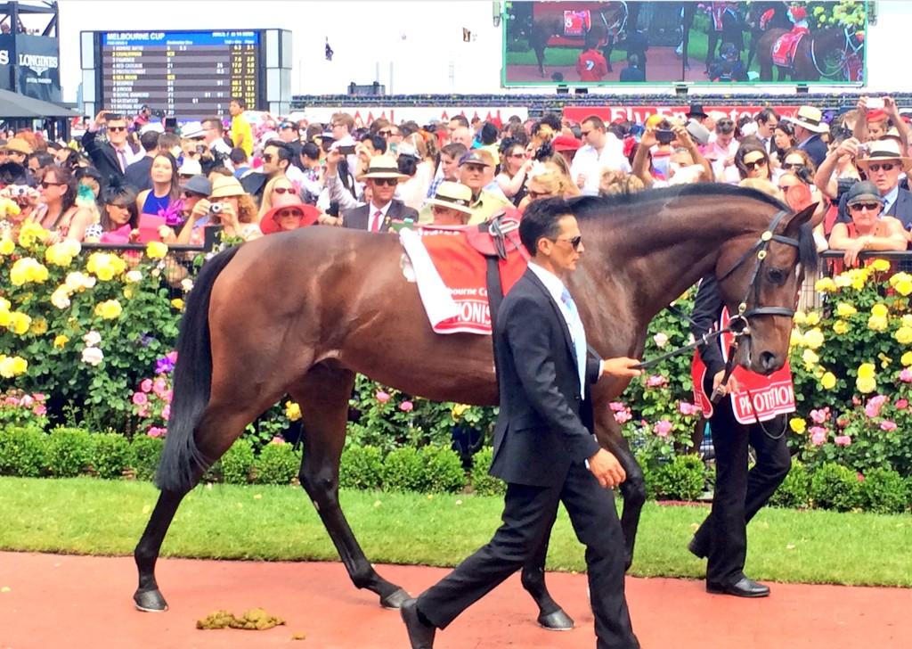 Victoria Racing Club tweet media