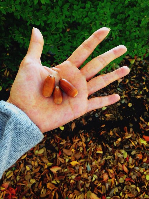 昨日は岩盤浴行って、睡眠もしっかりとったから、今日はすごく体が軽い♬朝のジョギングもしてきたよー！ http://t.co/7gDAuLvvWL