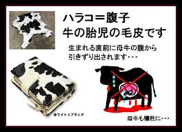 埋め込み画像への固定リンク