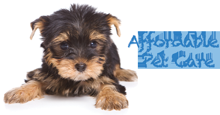 CavanVets1's tweet photo. To give your puppy a warm care of motherly love get it vaccinated through our special puppy packs @CavanVets1 http://t.co/0zXDxgzs4S