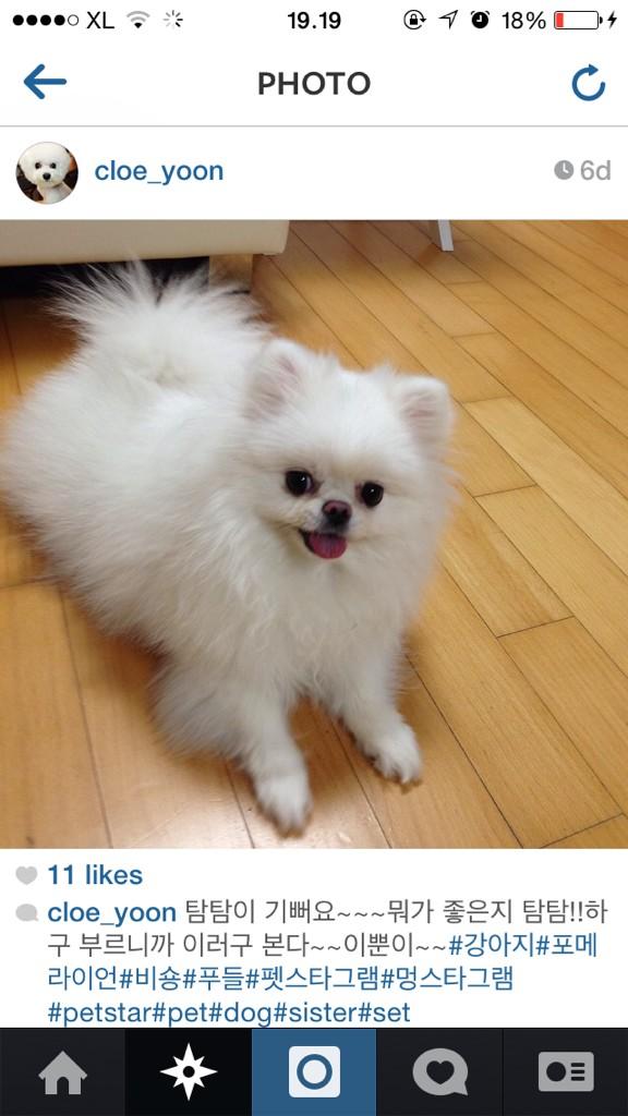 Bianca Aretha tweet media