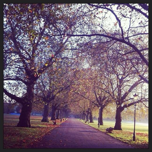 TheVicBattersea tweet picture