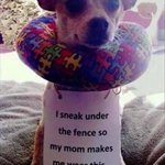 Photo by FurryPawsClub (@FurryPawsClub)