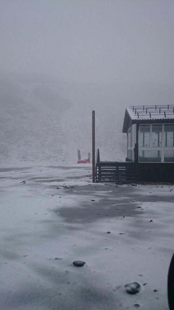 websierranevada's tweet photo. Segunda nevada del otoño. Esto se pone interesante #monodenieve #winteriscoming http://t.co/iISJOOkwgO