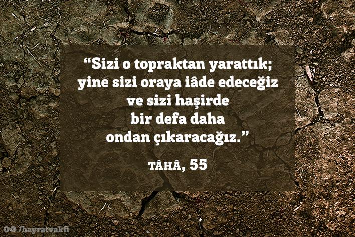 Jinsiy aloqa 1-qism: qozgalish, dastlabki erkalash va orgazm (VK)