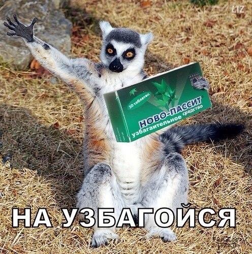 Vladilena_Chee's tweet photo. Когда у одноклассника/учителя бомбит: http://t.co/pQ68r0iA4V