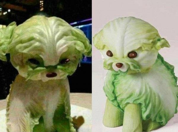 TrendyThread's tweet image. LETTUCE dog, Check it out