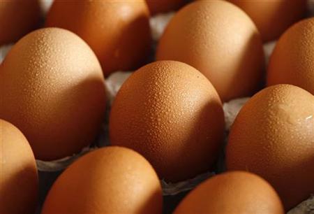 katynell's tweet image. MT #agfactFriday "@animalag: 50 billion eggs are produced in the US each year #farmfact http://t.co/mqJtYadX5N” #agchat #eggs