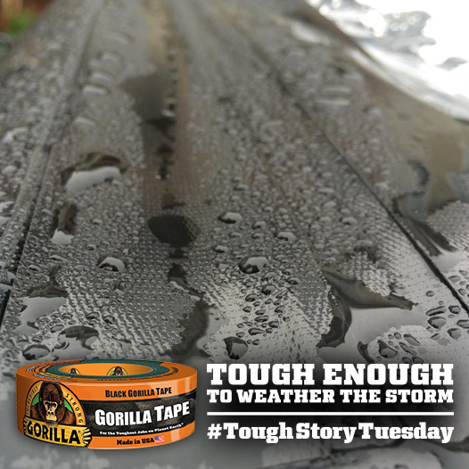 Gorilla Glue (GorillaGlue) Twitter