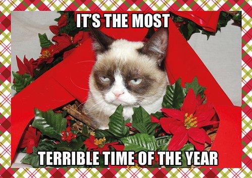 WFLAGayleG's tweet photo. Who's excited about @RealGrumpyCat new holiday movie!? Love that cat's #defaultFace http://t.co/w6LMjIWPSf