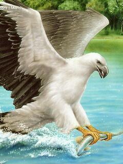 wwwAli20002111's tweet photo. http://t.co/xNbBuOtnA8