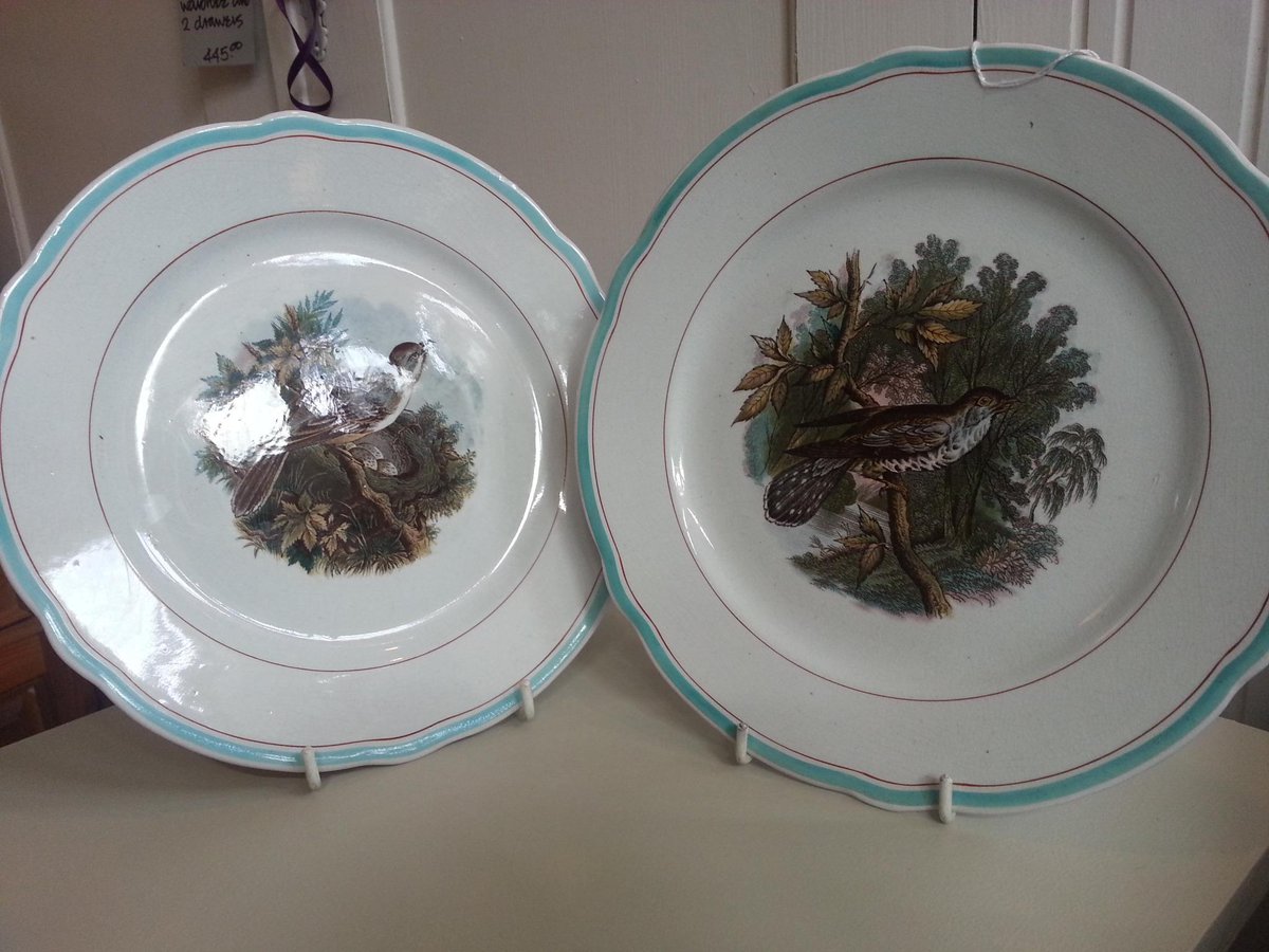 Antique Plates depicting a Cuckoo and a White Throat