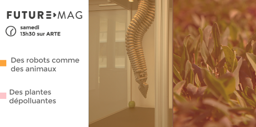 FUTUREMAGfr's tweet image. Samedi prochain dans FUTURE on vous parle des #plantes dépolluantes et des #biorobots ! cc @ARTEfuture