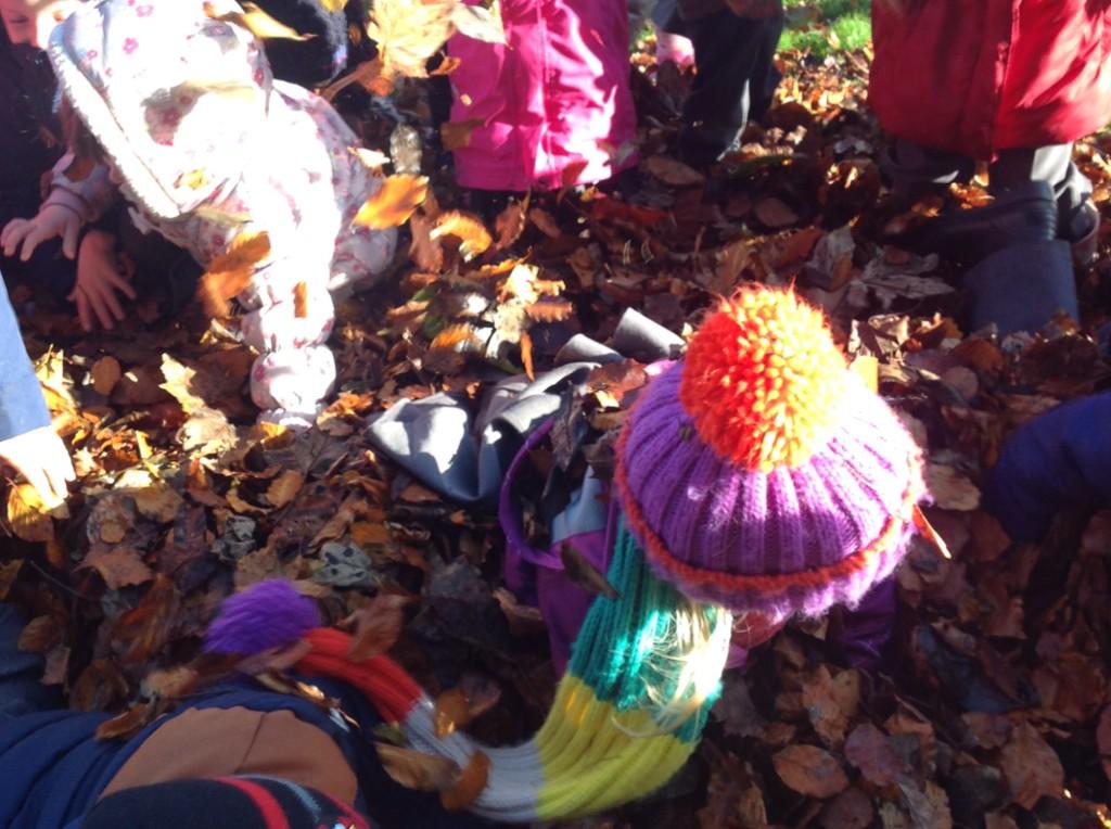 BPS_Picasso's tweet photo. Autumn fun! 🍂🍃🍁 http://t.co/jHJFS7rqPH