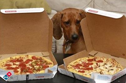 DominosLondon's tweet photo. It’s that time of the week again, #TwoforTuesday...order now at http://t.co/gloUGHgHHm T&amp;Cs apply http://t.co/rnpKDyLXcp