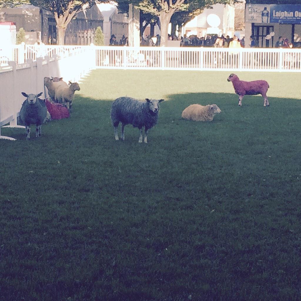 TechNation's tweet image. Trying to figure out which startup these guys belong to...#websummit