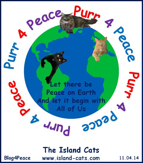 TheIslandCats's tweet image. We purr for Peace.  #blog4peace #blogblast4peace