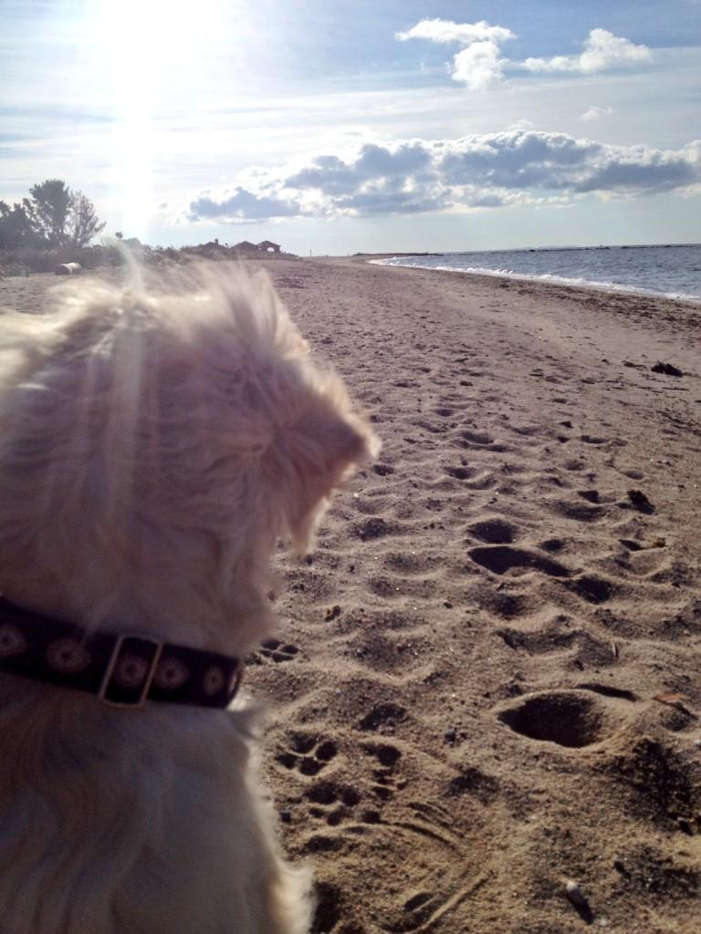 kelseyd0yle's tweet photo. #morningadventures http://t.co/3iHEOCsQxY