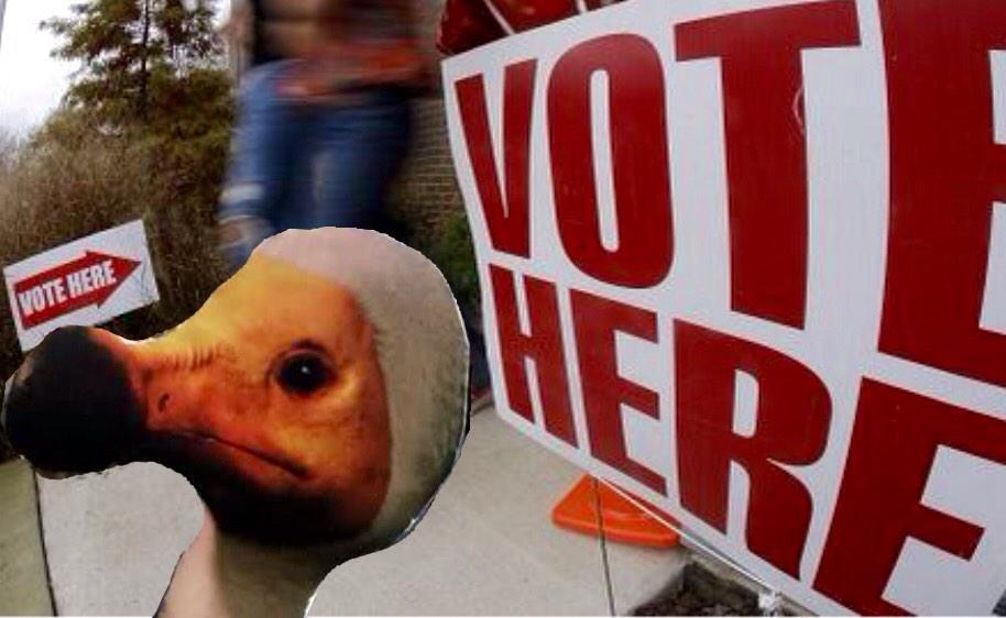 AliveDodo's tweet photo. Vote 4 Dodo! http://t.co/aLqbwREd9E
