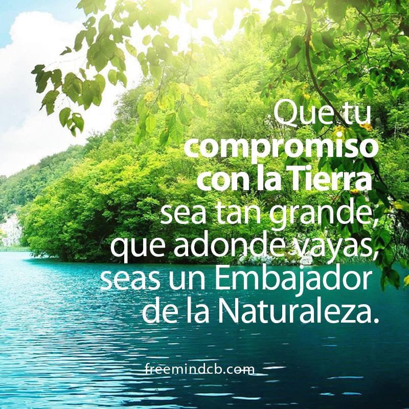 freemindcbve's tweet photo. “.@Inspirulina: las plantas son grandes aliadas a la hora de atraer prosperidad a tu hogar http://t.co/dO0AIu7QZU” http://t.co/eSlN4DSY6z