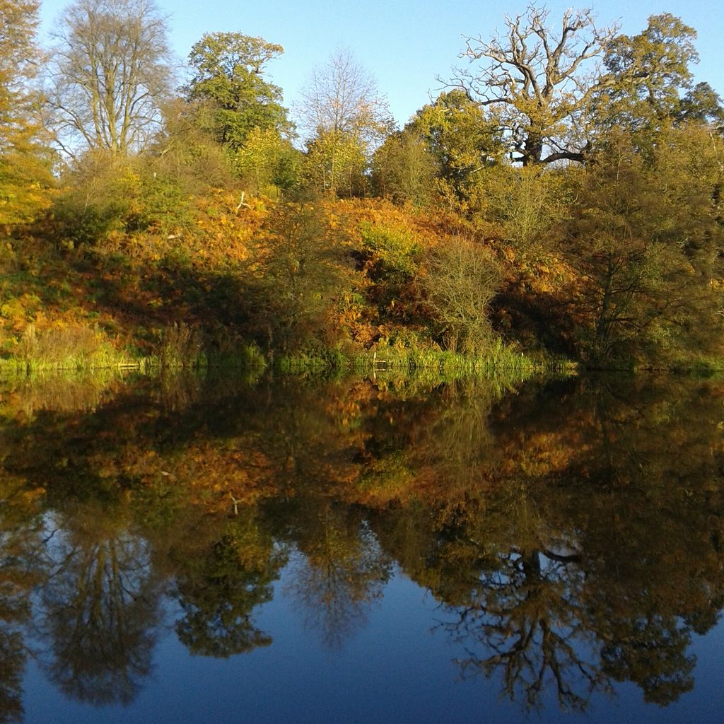 SuziGuy's tweet photo. Perfect mirror image #reflection on @NTCalkeAbbey pond @NTmidlands @nationaltrust #Autumn #NTReflections #GBWalk http://t.co/m7EWIFnysx