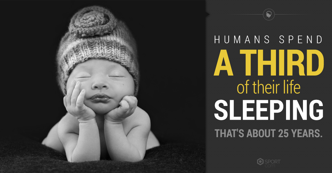 alarm_smart's tweet photo. Can you imagine that?! #sleep #sleepfacts #goodnight http://t.co/K56oazJL0P