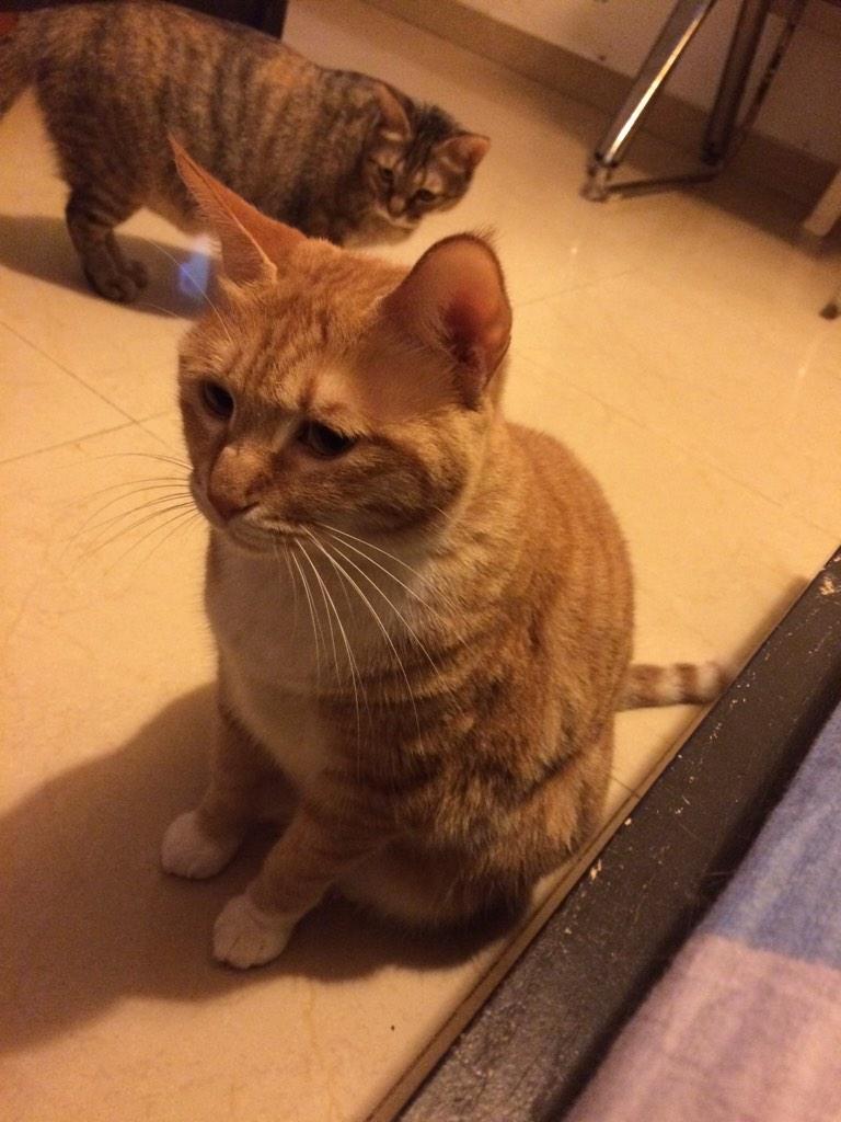Giopee's tweet photo. 搞特殊那位快起来 http://t.co/S4ACVjh1Rj