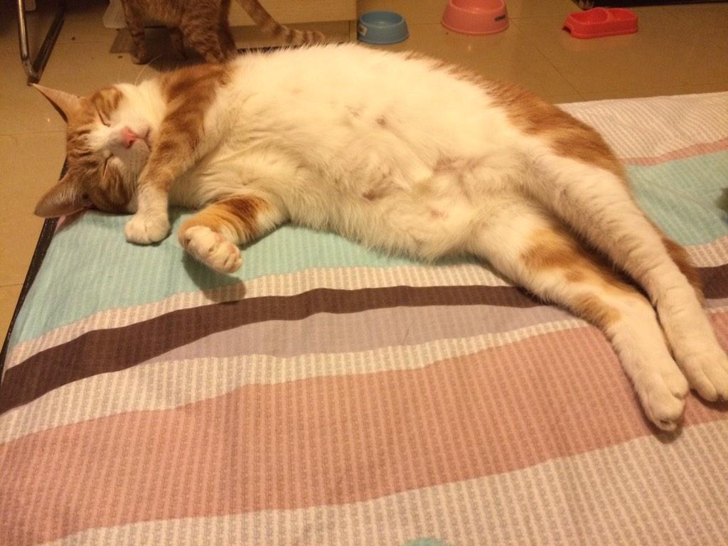 Giopee's tweet photo. 搞特殊那位快起来 http://t.co/S4ACVjh1Rj
