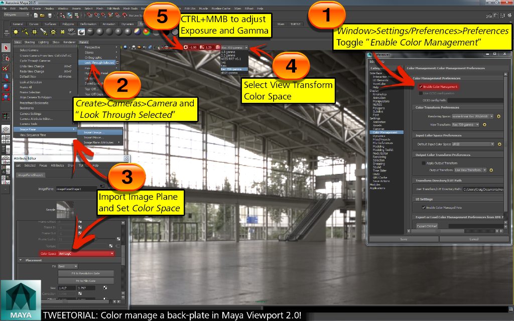 Find out how to color manage a back-plate in this week’s #Maya #tweetorial! #3D