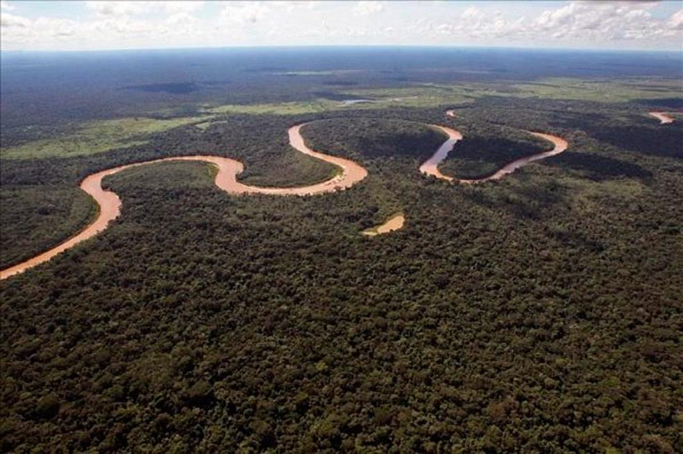 elespectador's tweet photo. Científico llama a "esfuerzo de guerra" para salvar la Amazonía. http://t.co/0KhGdpZ1ND http://t.co/3vNtkj63yn