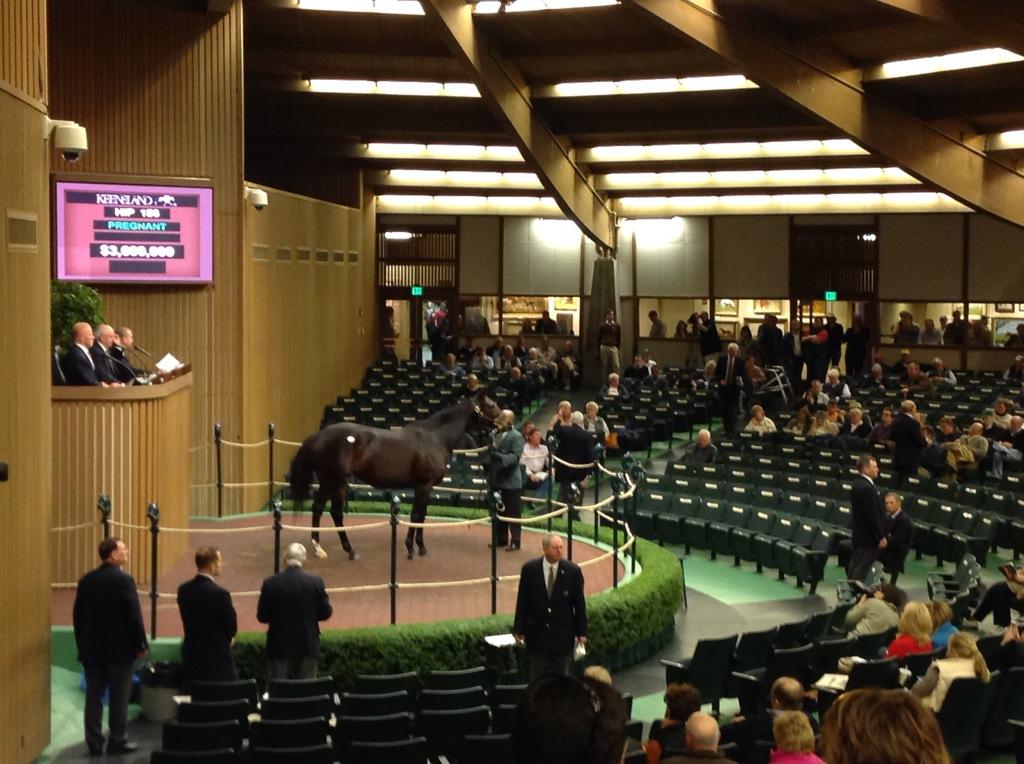 keenelandsales's tweet photo. Graded winner Naples Bay, i/f to War Front, hammers $3.6M to lead #KeeNov http://t.co/RsiBnCSHDH